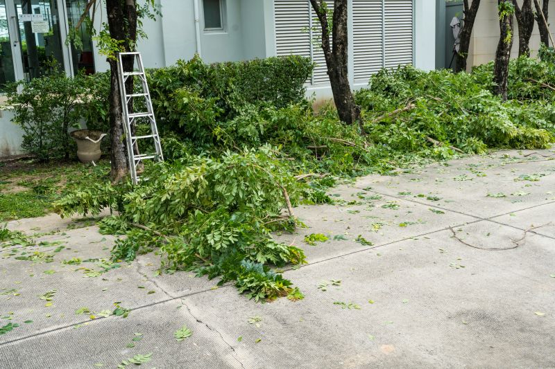 Dead Tree Removal in Aiken, SC