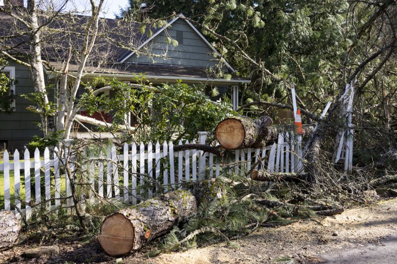 Emergency Tree Removal in Montgomery County, PA