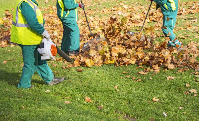 Seasonal Leaf Clearing