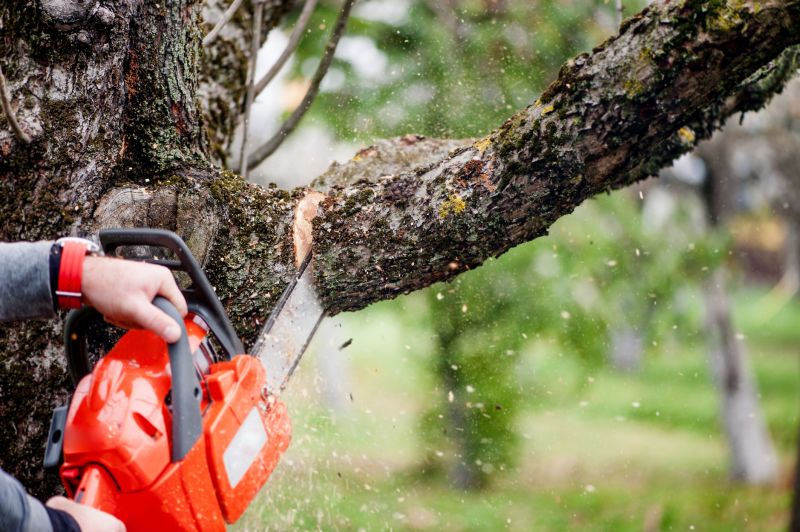 Products For Hickory Tree Removals in use