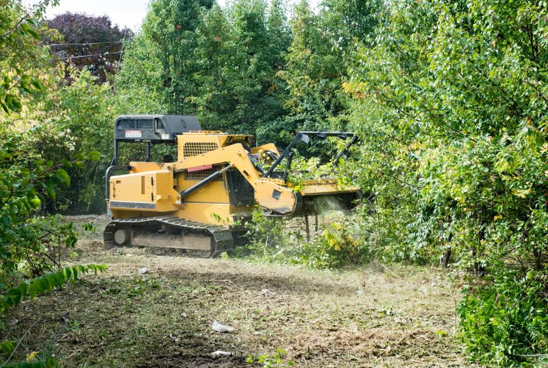 Property Line Clearing in Cumming, GA