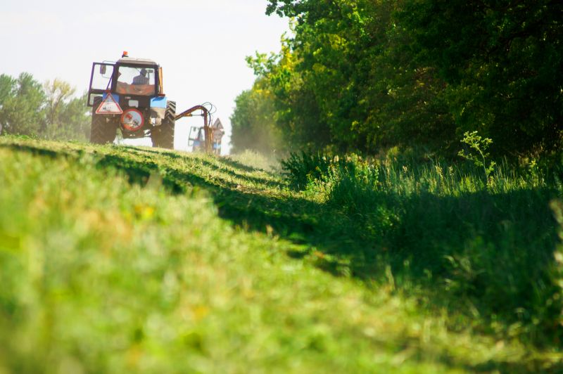 Site Clearing Service in Gwinnett County, GA